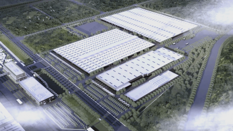 EX外汇评价 外汇Exness平台究竟是否正规?揭秘投资者须知的真相!