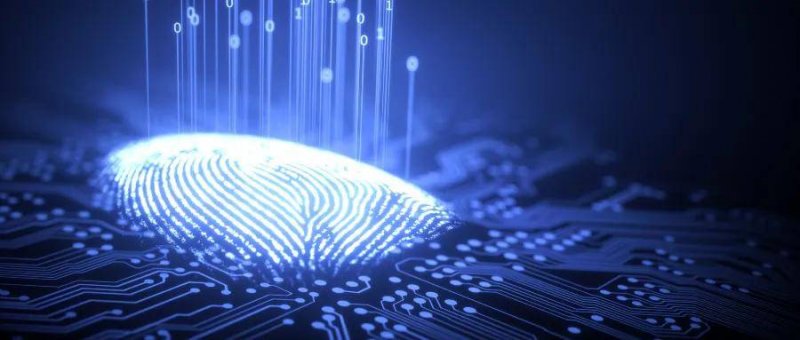 EX外汇新闻 简而言之,没有遗言留下!去世当天还在剪彩、带货,杨少华真的被儿子过度“消费”吗?